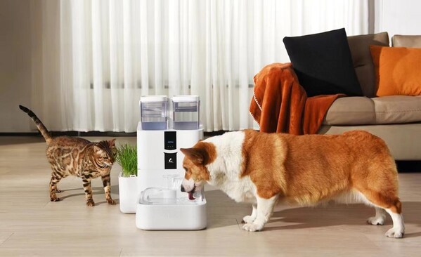 LALAHOME DailyFresh™ RealFountain